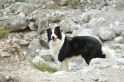DSC_0049.jpg
